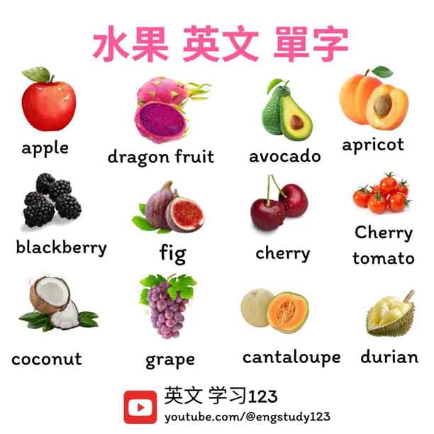 水果 英文 單字